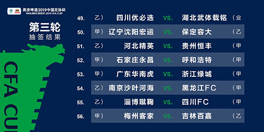 2024新澳精准六肖百分百,数据驱动计划_挑战款94.65.33