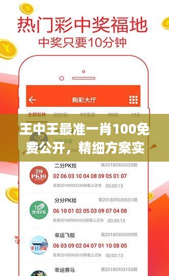 王中王最准一肖100免费公开，精细方案实施_VIP18.4.16