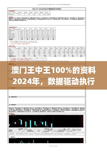 澳门王中王100%的资料2024年，数据驱动执行决策_iShop70.77.66