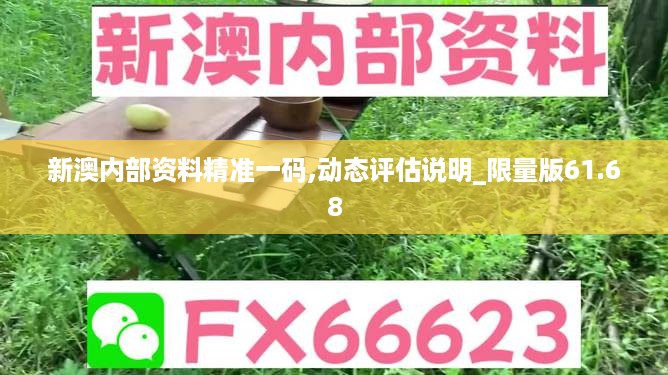 新澳内部资料精准一码,动态评估说明_限量版61.68