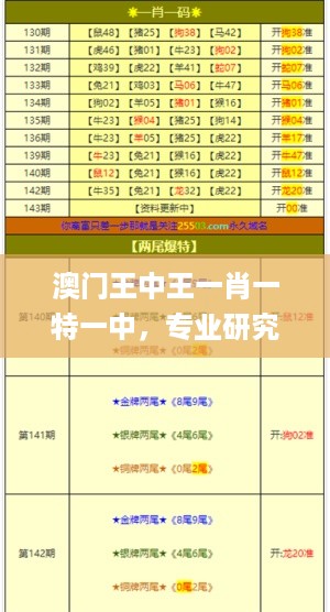 澳门王中王一肖一特一中，专业研究解析说明_WP51.98.61