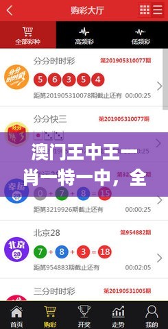 澳门王中王一肖一特一中，全面数据解析说明_VIP78.15.75