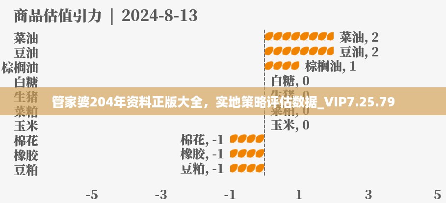 管家婆204年资料正版大全，实地策略评估数据_VIP7.25.79