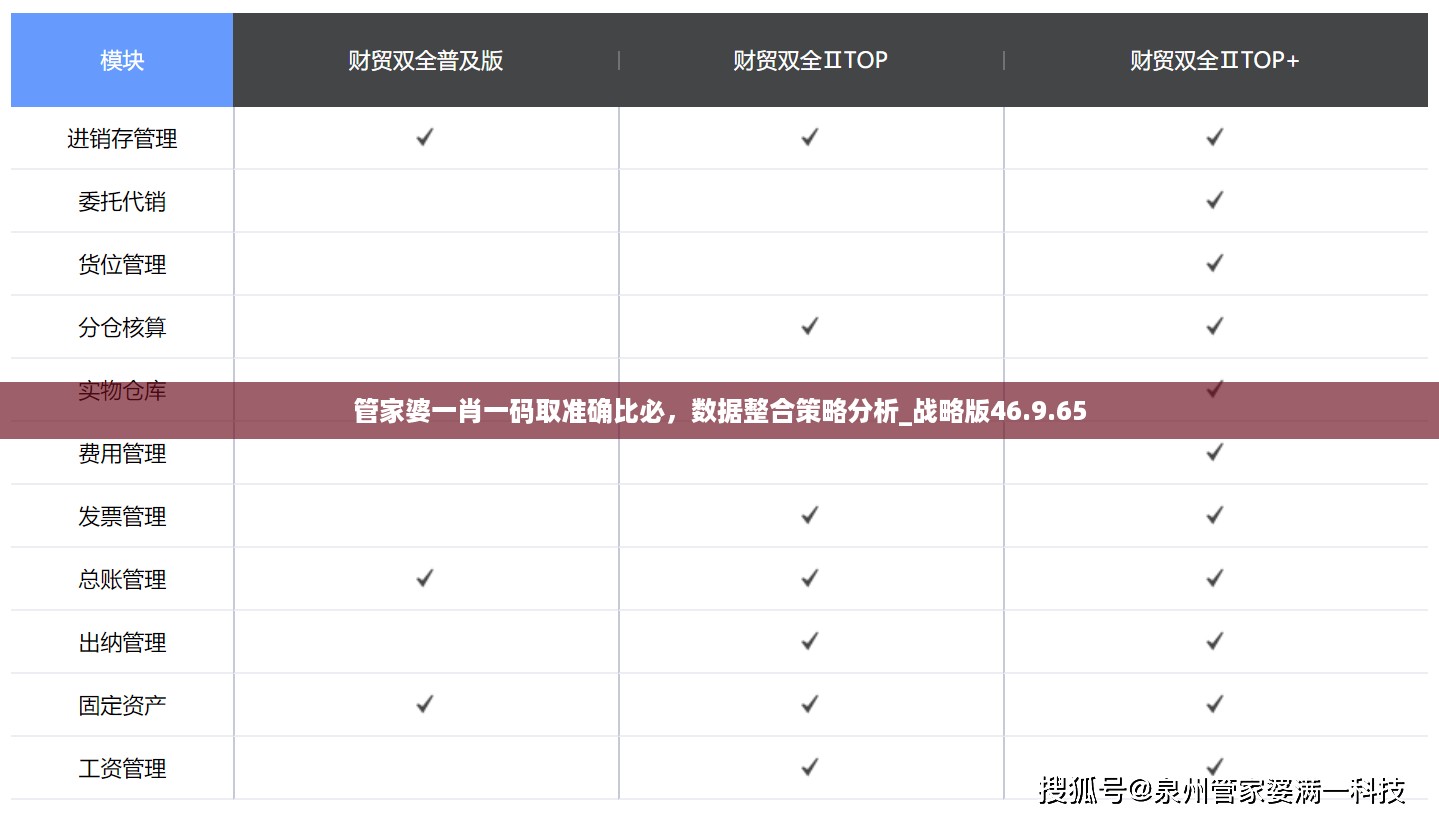 管家婆一肖一码取准确比必，数据整合策略分析_战略版46.9.65