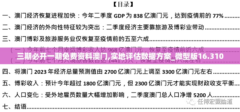 三期必开一期免费资料澳门,实地评估数据方案_微型版16.310