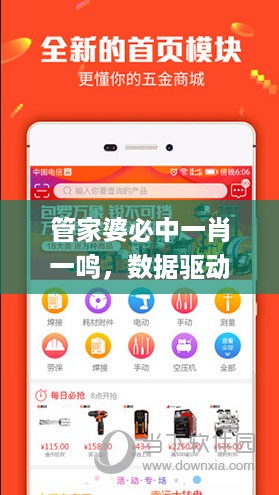 管家婆必中一肖一鸣，数据驱动执行设计_ios65.29.77