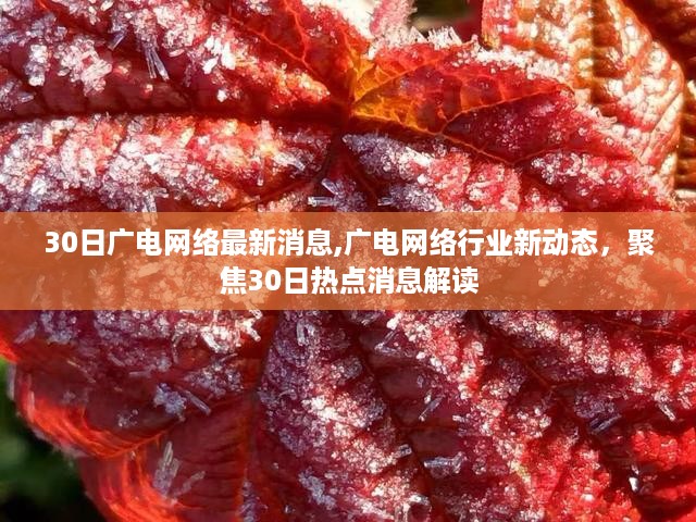 广电网络行业最新动态解析，聚焦热点消息解读与行业动态速递