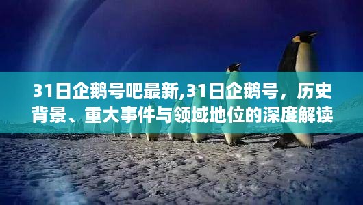 深度解读，企鹅号的历史背景、重大事件及在领域的地位——最新31日报道