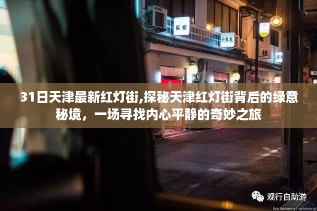 探秘天津红灯街背后的绿意秘境，内心平静的奇妙之旅启程