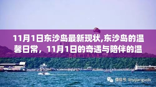 东沙岛，温馨日常与11月1日的奇遇与陪伴的温暖