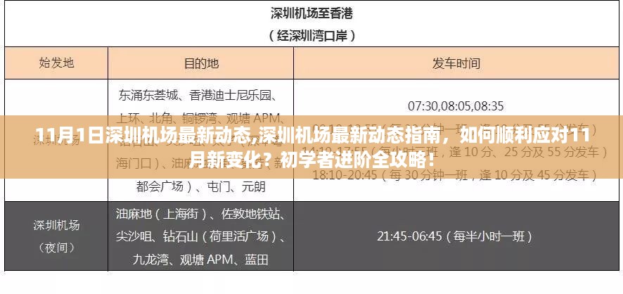 深圳机场11月最新动态全攻略，应对新变化，初学者进阶指南！