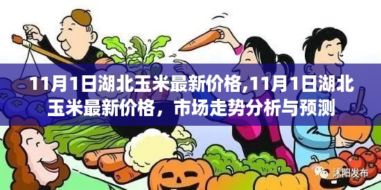 11月1日湖北玉米最新价格及市场走势分析与预测