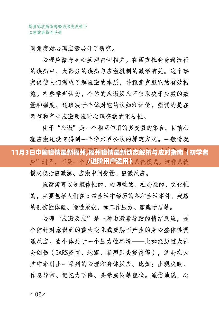 福州疫情最新动态解析与应对指南，初学者进阶用户适用的全面指南（11月3日中国疫情最新消息）