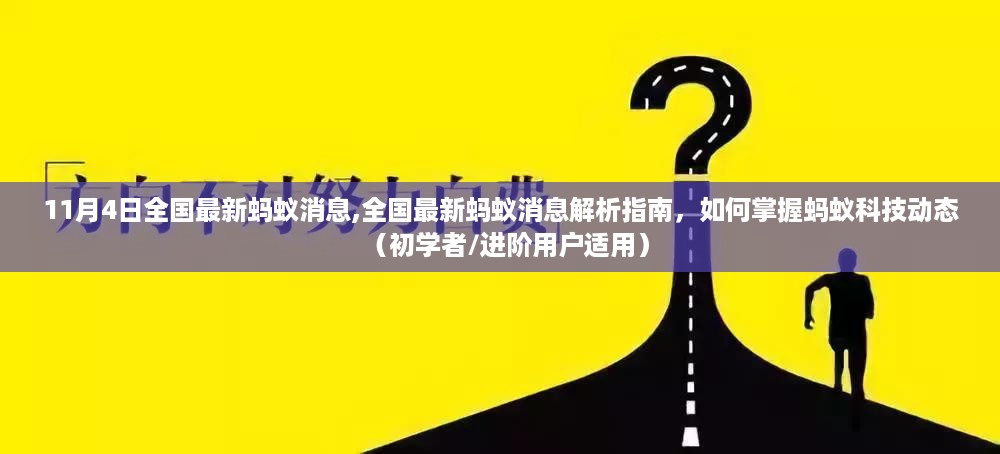 全国最新蚂蚁消息解析，掌握蚂蚁科技动态的初学者与进阶用户指南（11月4日版）