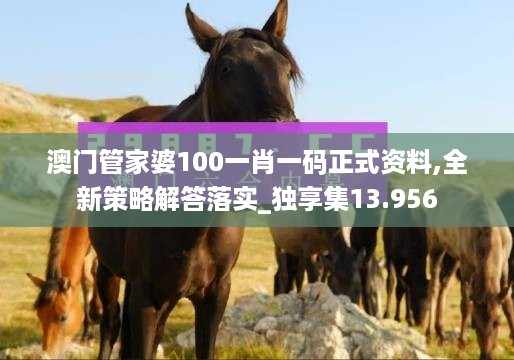 澳门管家婆100一肖一码正式资料,全新策略解答落实_独享集13.956