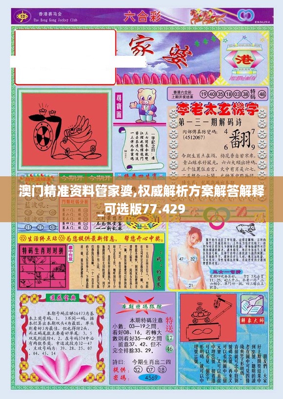 澳门精准资料管家婆,权威解析方案解答解释_可选版77.429