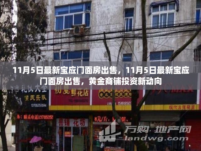 最新宝应门面房出售信息，黄金商铺投资新动向