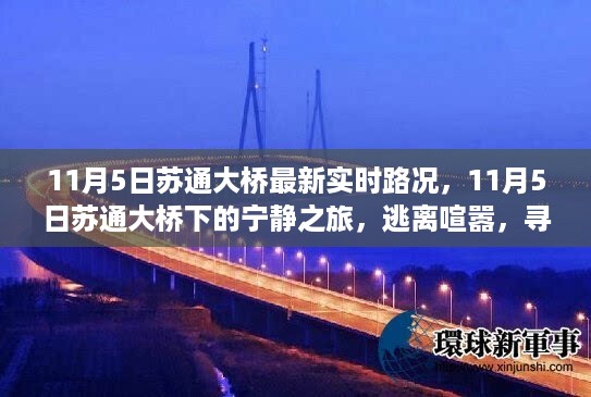 11月5日苏通大桥实时路况与宁静之旅，探寻绿色港湾的内心之旅