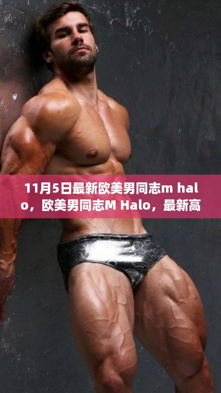 欧美男同志M Halo重塑未来体验，引领科技生活新纪元