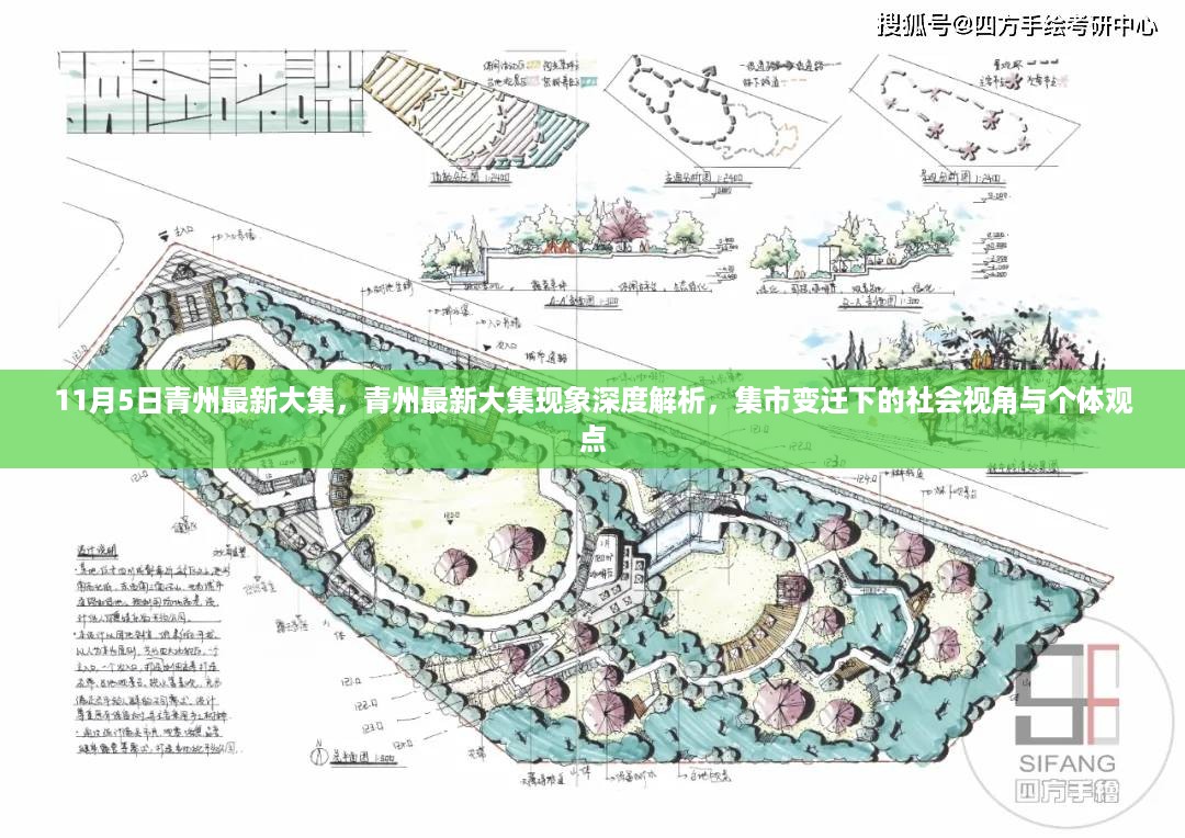 青州最新大集现象深度解析，集市变迁下的社会视角与个体观点观察（11月5日）