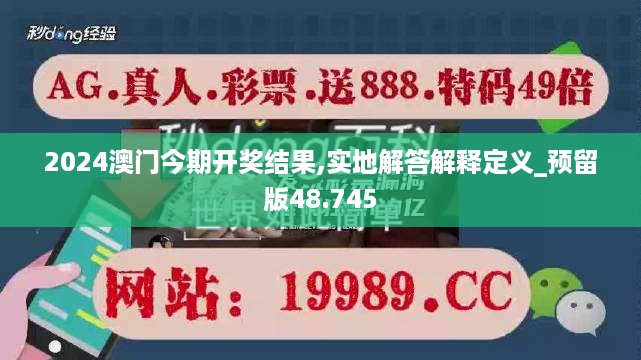 2024澳门今期开奖结果,实地解答解释定义_预留版48.745