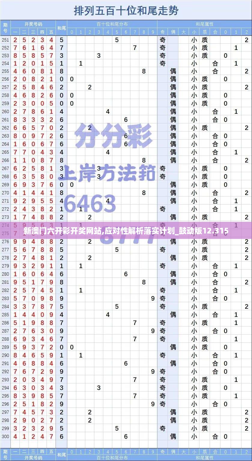 新澳门六开彩开奖网站,应对性解析落实计划_鼓动版12.315