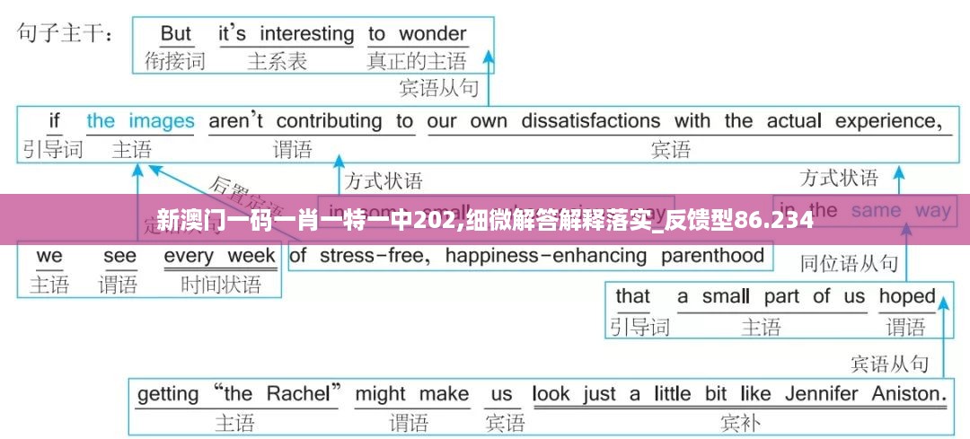 新澳门一码一肖一特一中202,细微解答解释落实_反馈型86.234