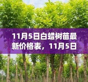 11月5日白蜡树苗最新价格表及选购指南与种植前景展望