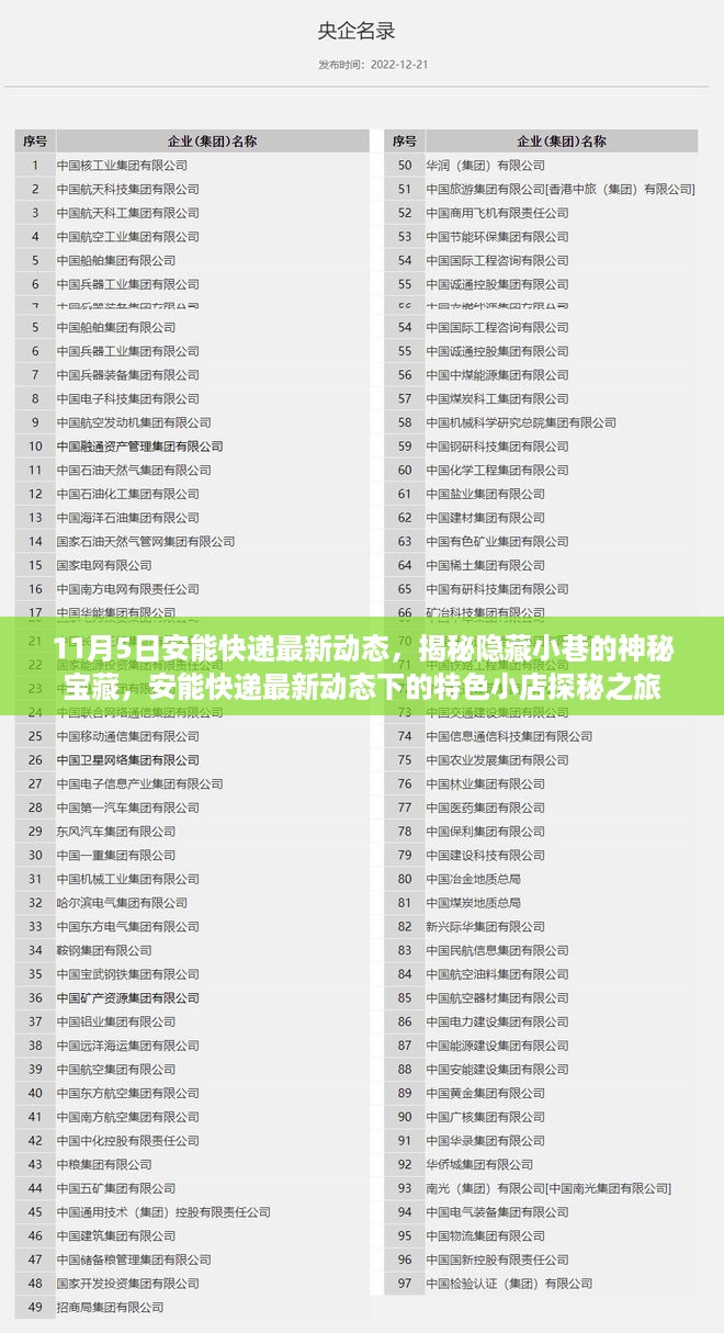 安能快递最新动态揭秘，特色小店探秘之旅，隐藏小巷的神秘宝藏揭晓