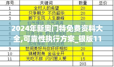 2024年新奥门特免费资料大全,可靠性执行方案_银版11.803