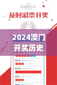 2024澳门开奖历史记录结果查询,探讨性执行解答落实_修订版14.205