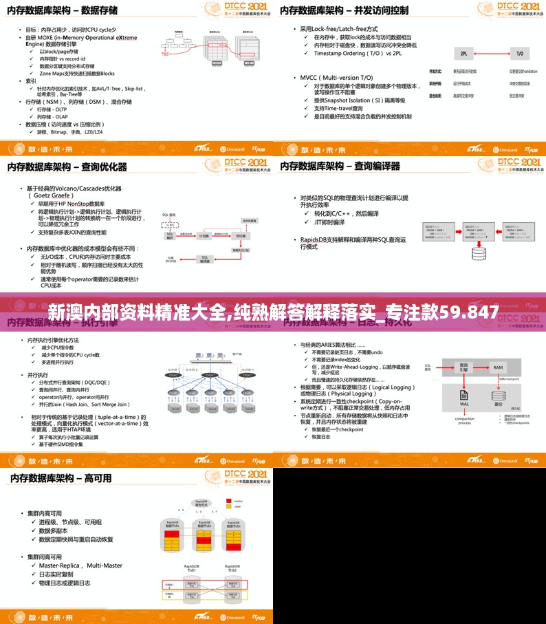 新澳内部资料精准大全,纯熟解答解释落实_专注款59.847