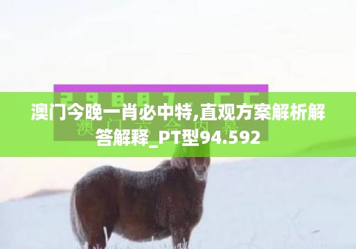 澳门今晚一肖必中特,直观方案解析解答解释_PT型94.592