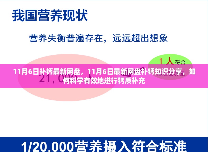 11月6日最新网盘补钙知识分享，科学有效的钙质补充方法