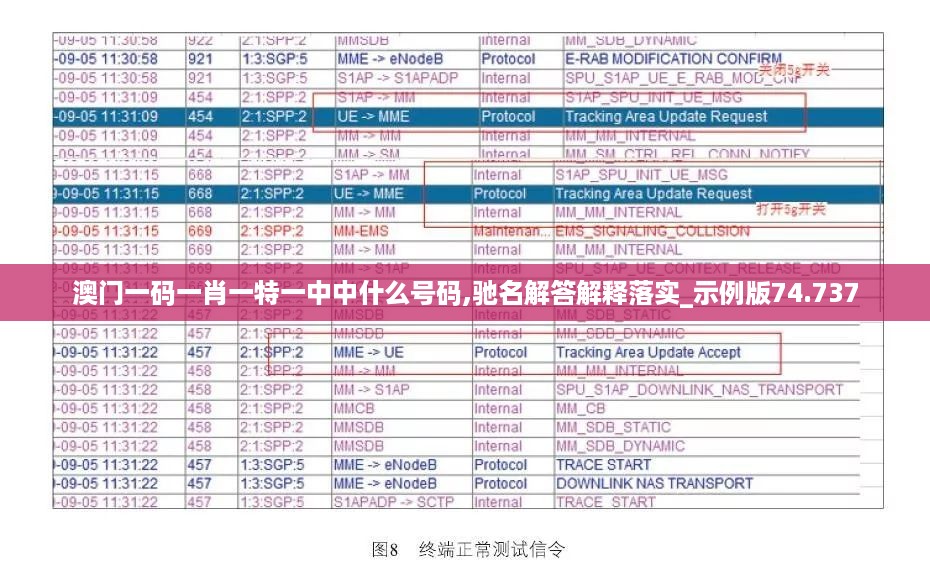 澳门一码一肖一特一中中什么号码,驰名解答解释落实_示例版74.737