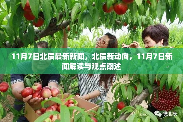 11月7日北辰最新新闻动态，新动向解读与观点阐述