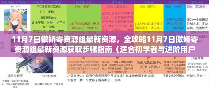 11月7日傲娇零资源组最新资源获取指南，全攻略与初学者进阶指南