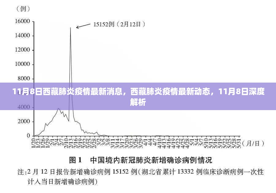 西藏肺炎疫情最新动态解析，深度了解疫情最新消息与动态分析（11月8日）