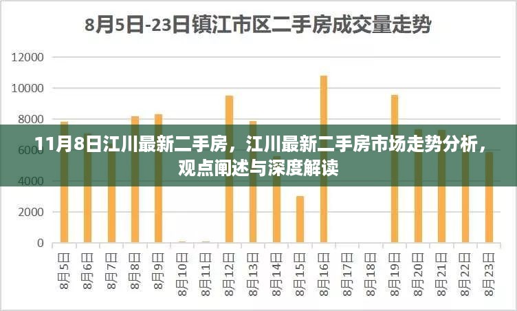 江川最新二手房市场深度解析与走势展望，11月8日更新