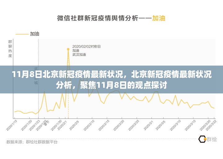 北京新冠疫情最新动态解析，聚焦11月8日的观点探讨