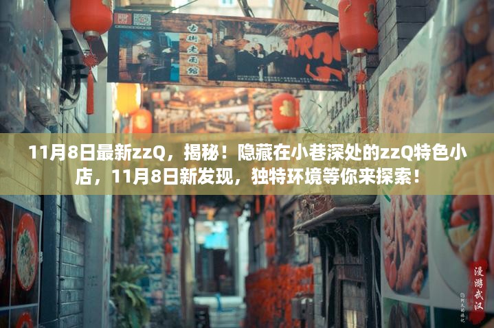 揭秘！11月8日最新发现，小巷深处的zzQ特色小店，独特环境等你来探索！