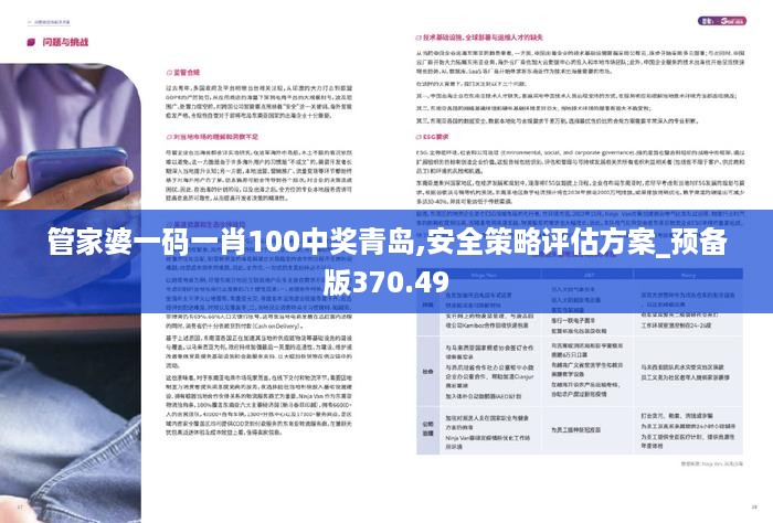 管家婆一码一肖100中奖青岛,安全策略评估方案_预备版370.49