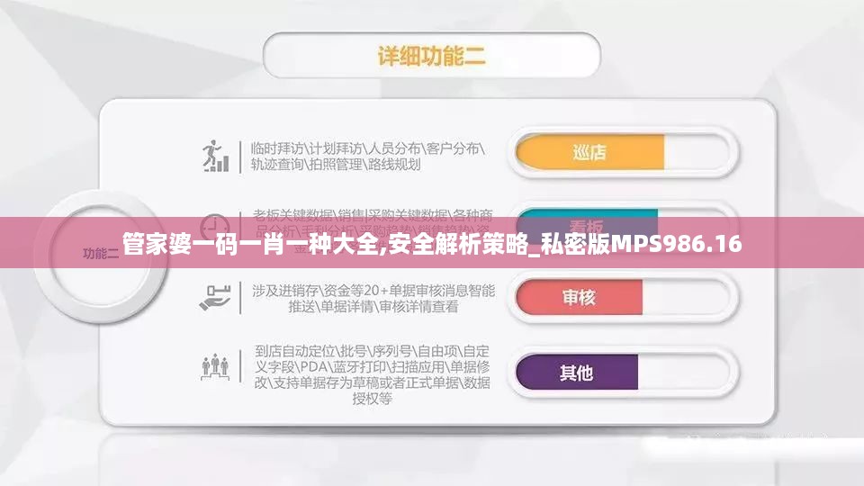 管家婆一码一肖一种大全,安全解析策略_私密版MPS986.16