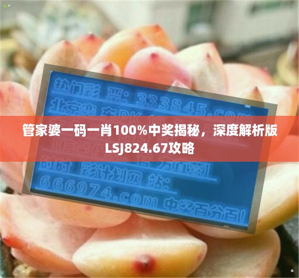 管家婆一码一肖100%中奖揭秘，深度解析版LSJ824.67攻略