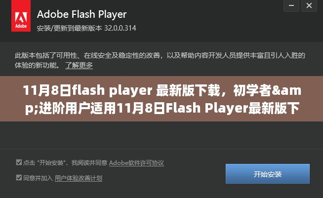 初学者与进阶用户适用的Flash Player最新版下载与安装全攻略（11月8日版）