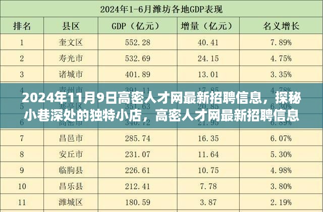 高密人才网最新招聘信息揭秘，小巷深处的独特小店职场之旅探秘！