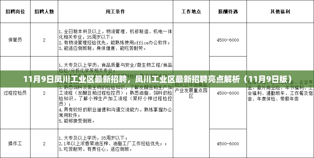 凤川工业区最新招聘亮点解析（11月9日版招聘启事）