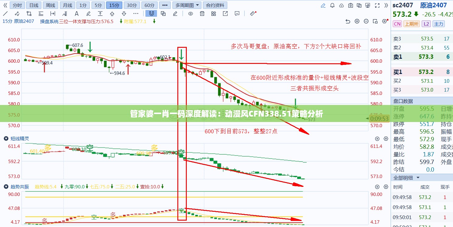 管家婆一肖一码深度解读：动漫风CFN338.51策略分析