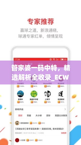 管家婆一码中特，精选解析全收录_ECW590.28交互版