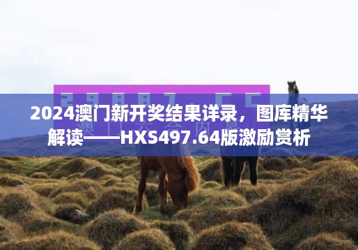 2024澳门新开奖结果详录，图库精华解读——HXS497.64版激励赏析